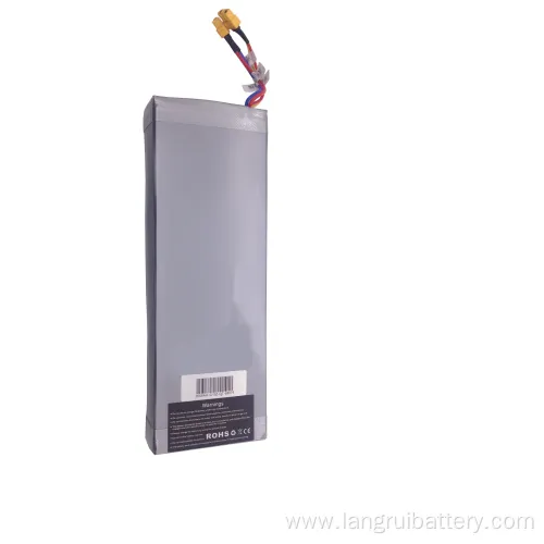 Customized Lithium-Ion E-Bike Battery 36V 10ah